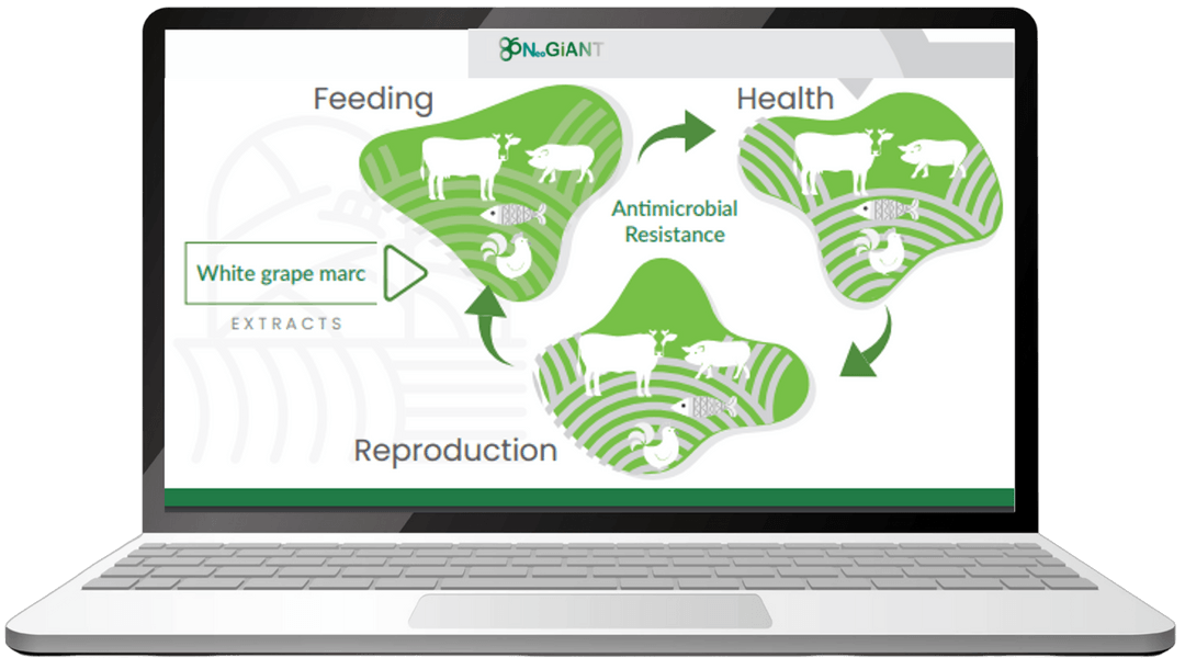 NeoGiANT project