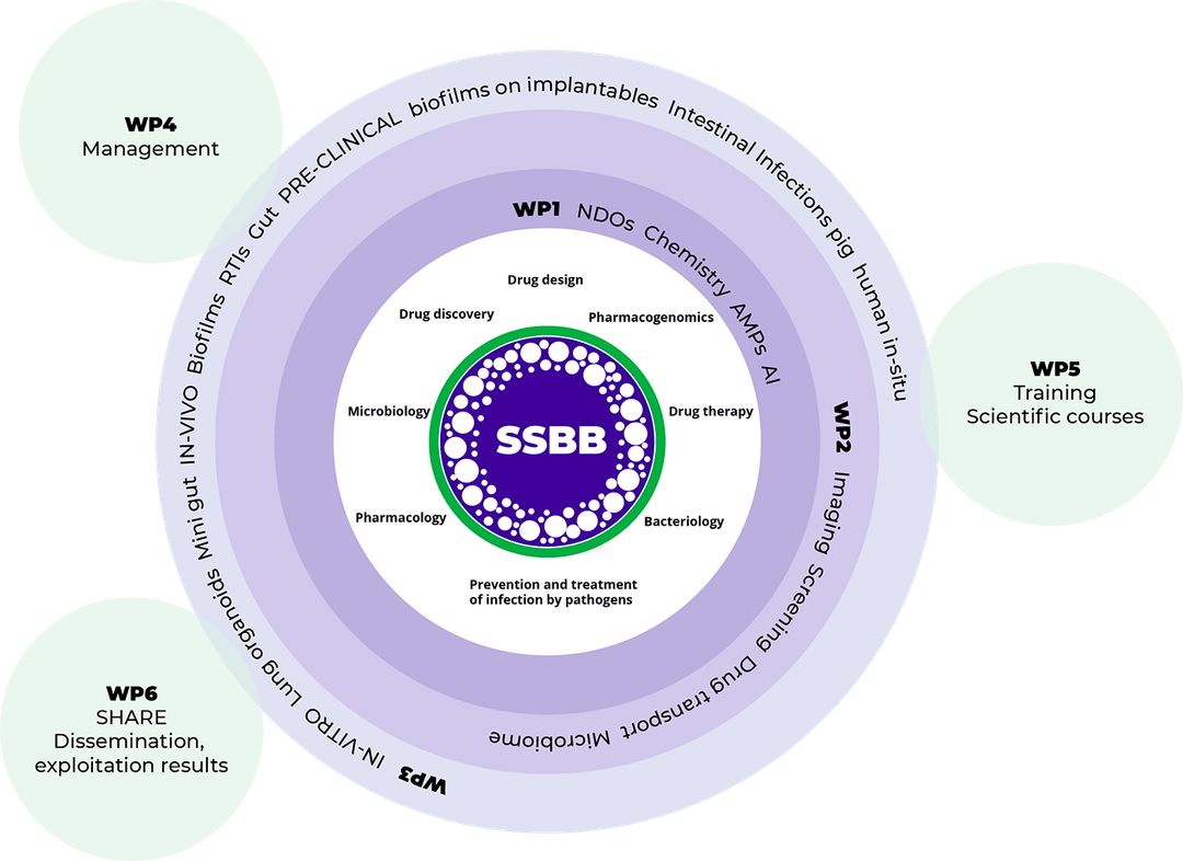 Stop Spread Bad Bugs project